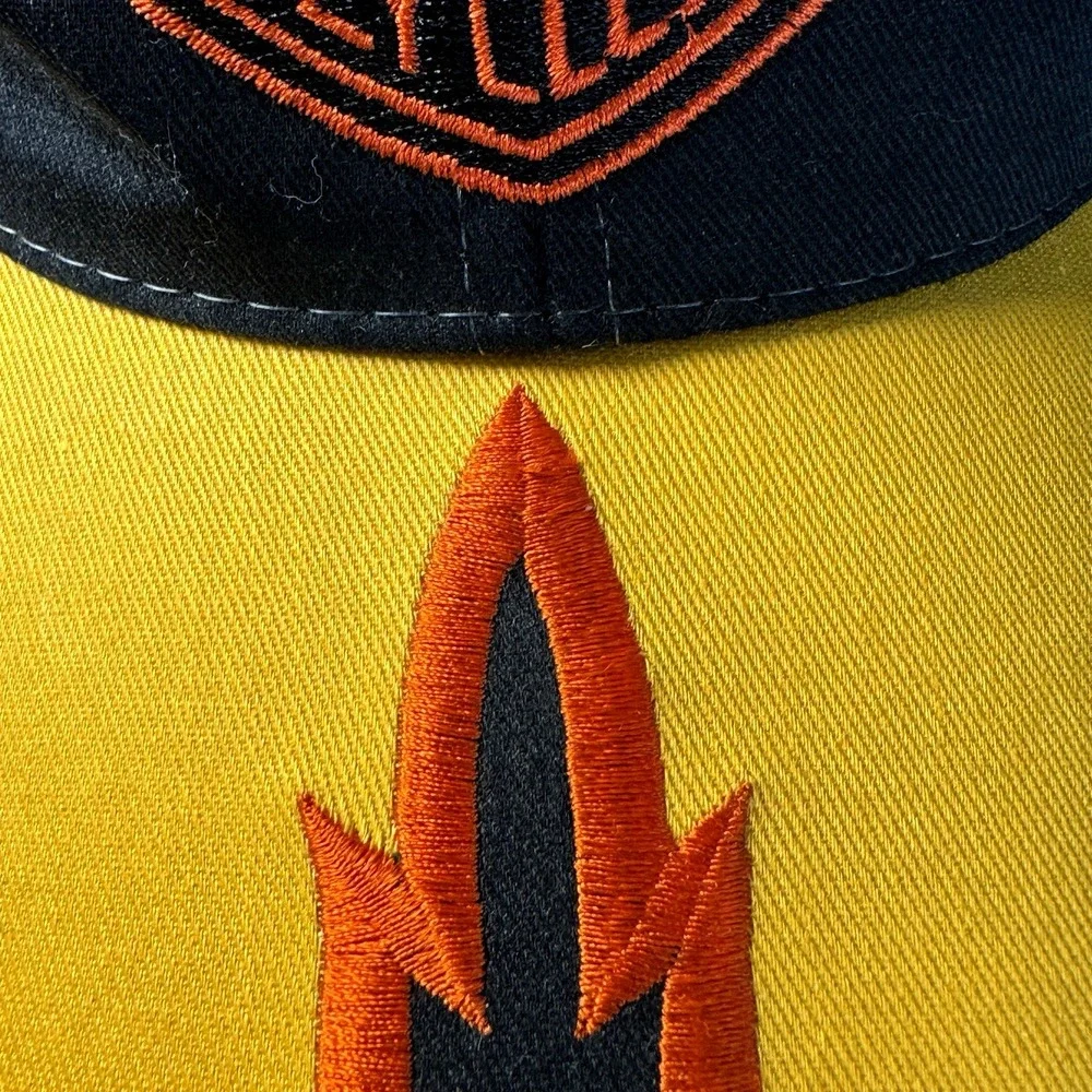 Harley Davidson Embroidered Flames Snapback Hat/ Cap‎ Licensed New With Tags